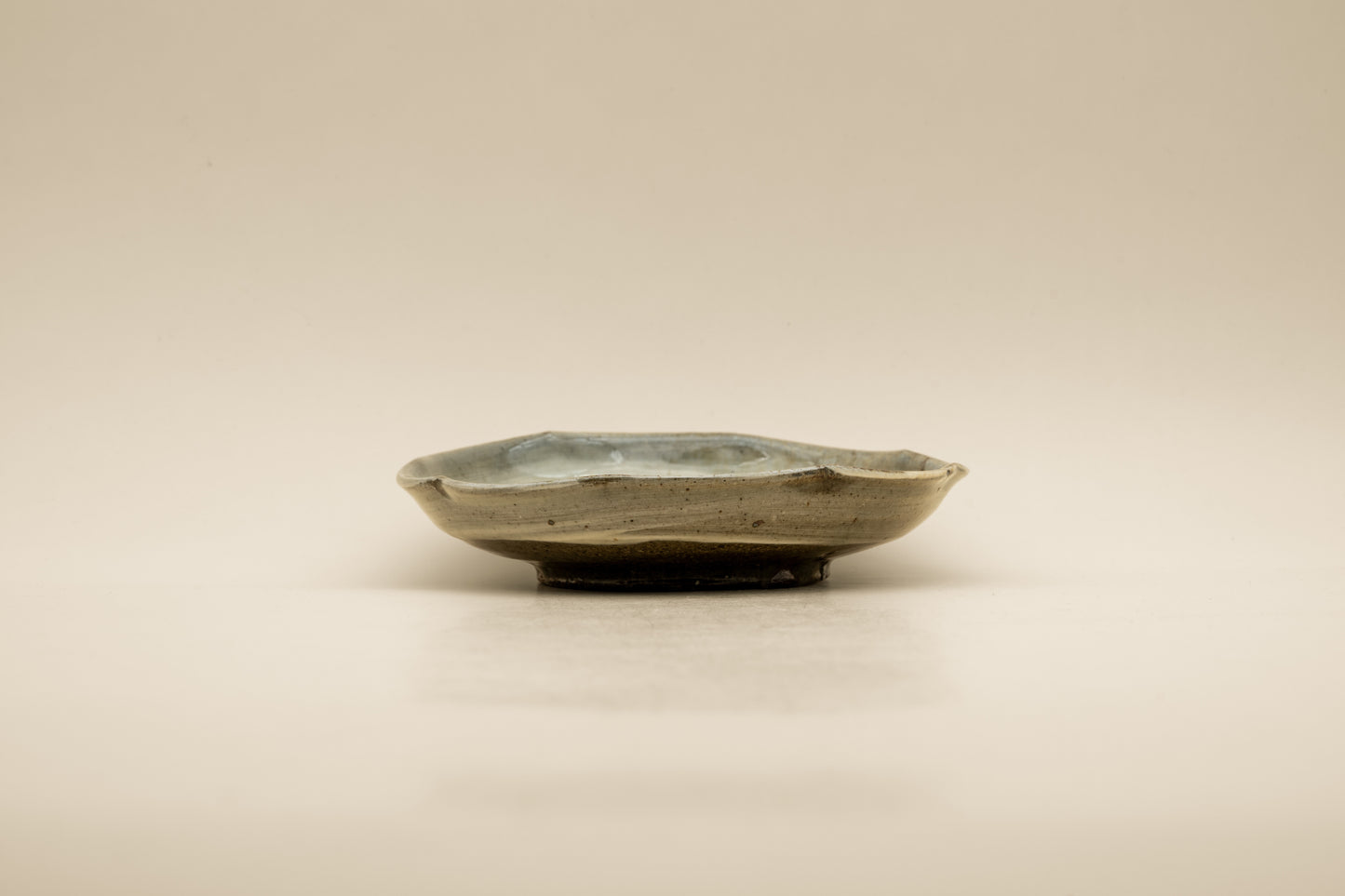 Karatsu Plate 16 cm "Hakeme with Wild Plant Motifs" | Set of 2 | MIT-S010
