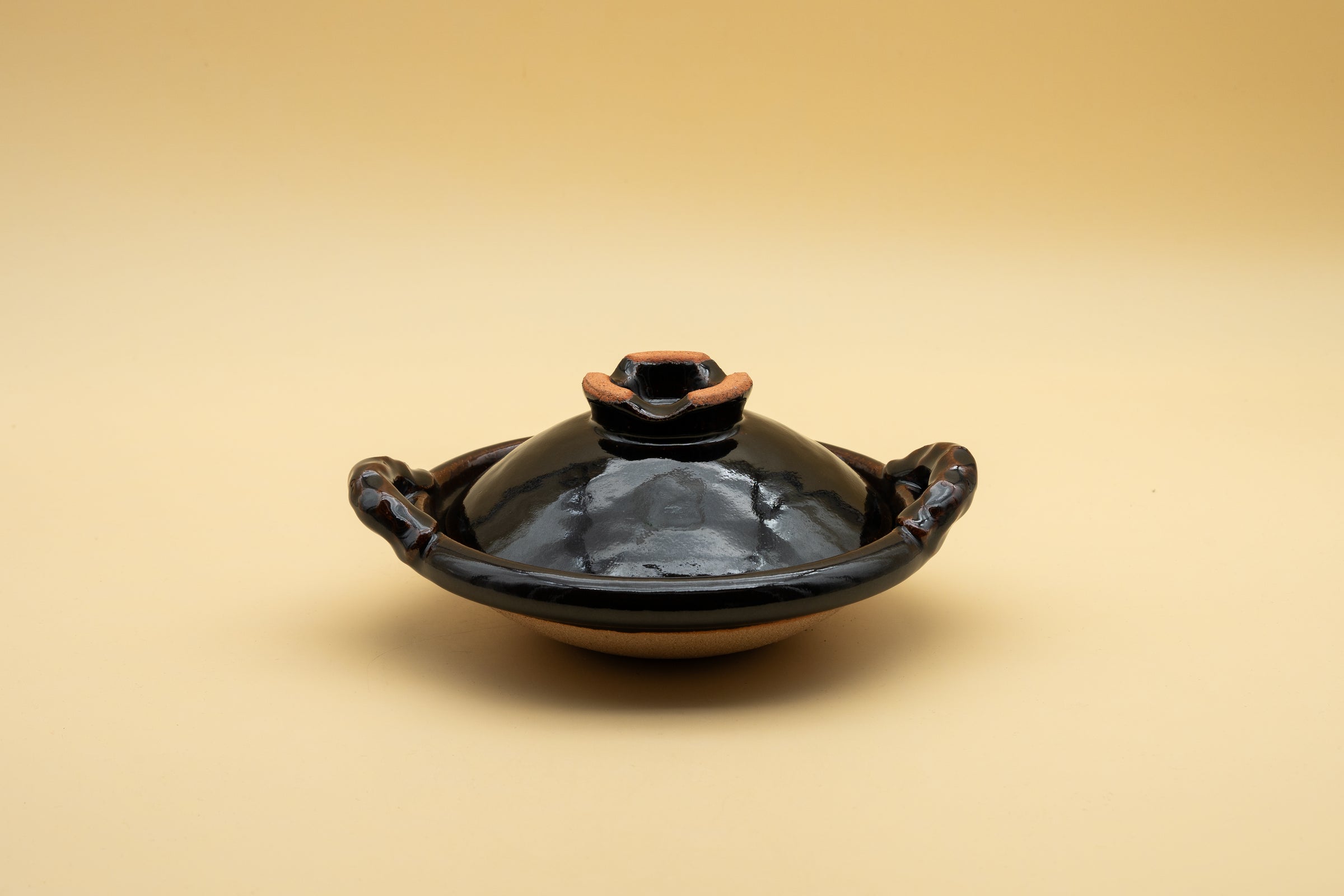Donabe Clay Pot "Rope Handles" 19 cm by Doraku-gama