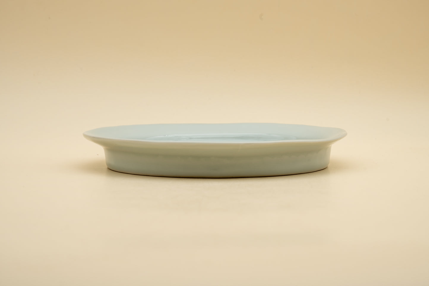 Rimmed Porcelain Plate (M) | WAK-S003