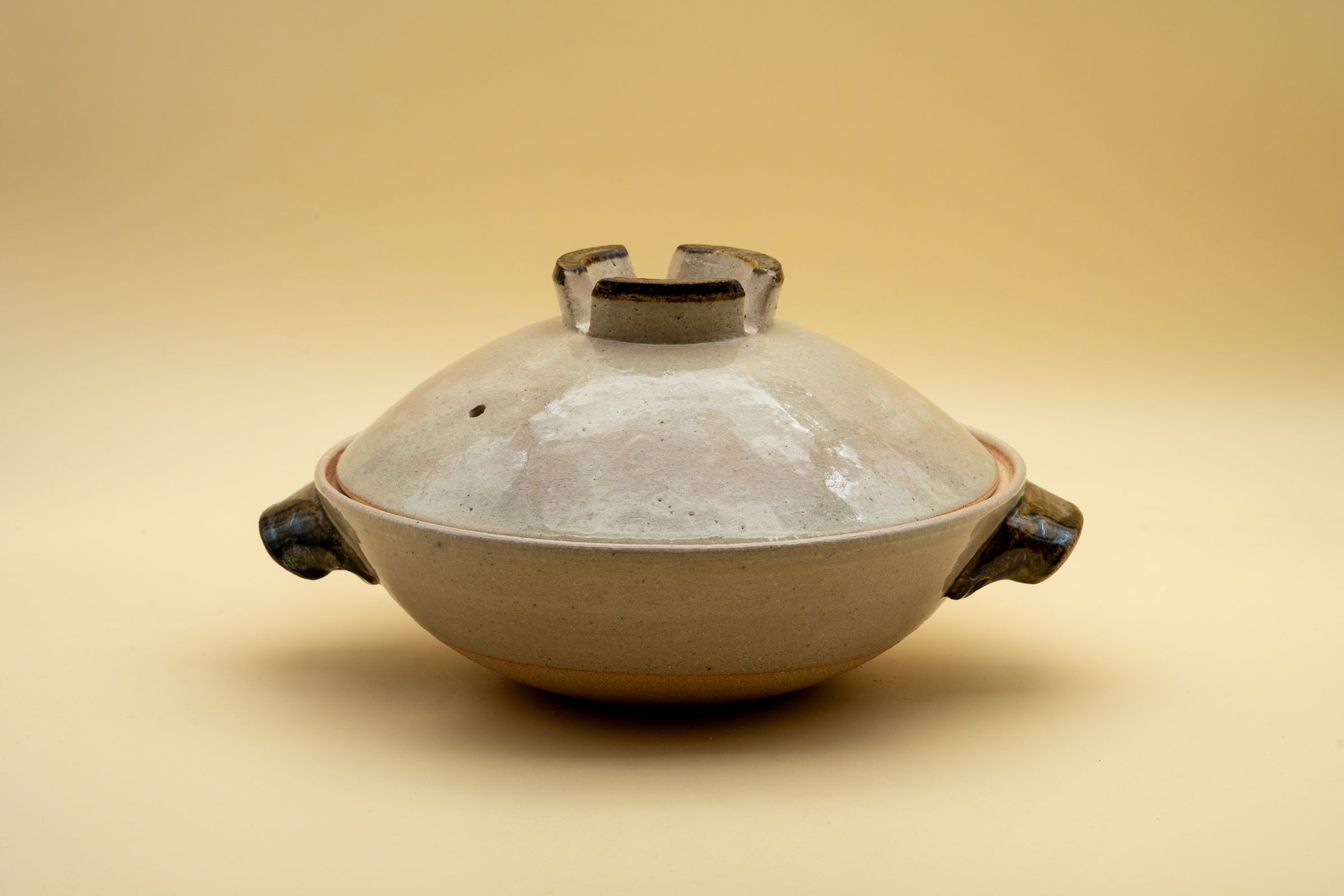 Donabe Clay Pot "Negi" by Doraku-gama