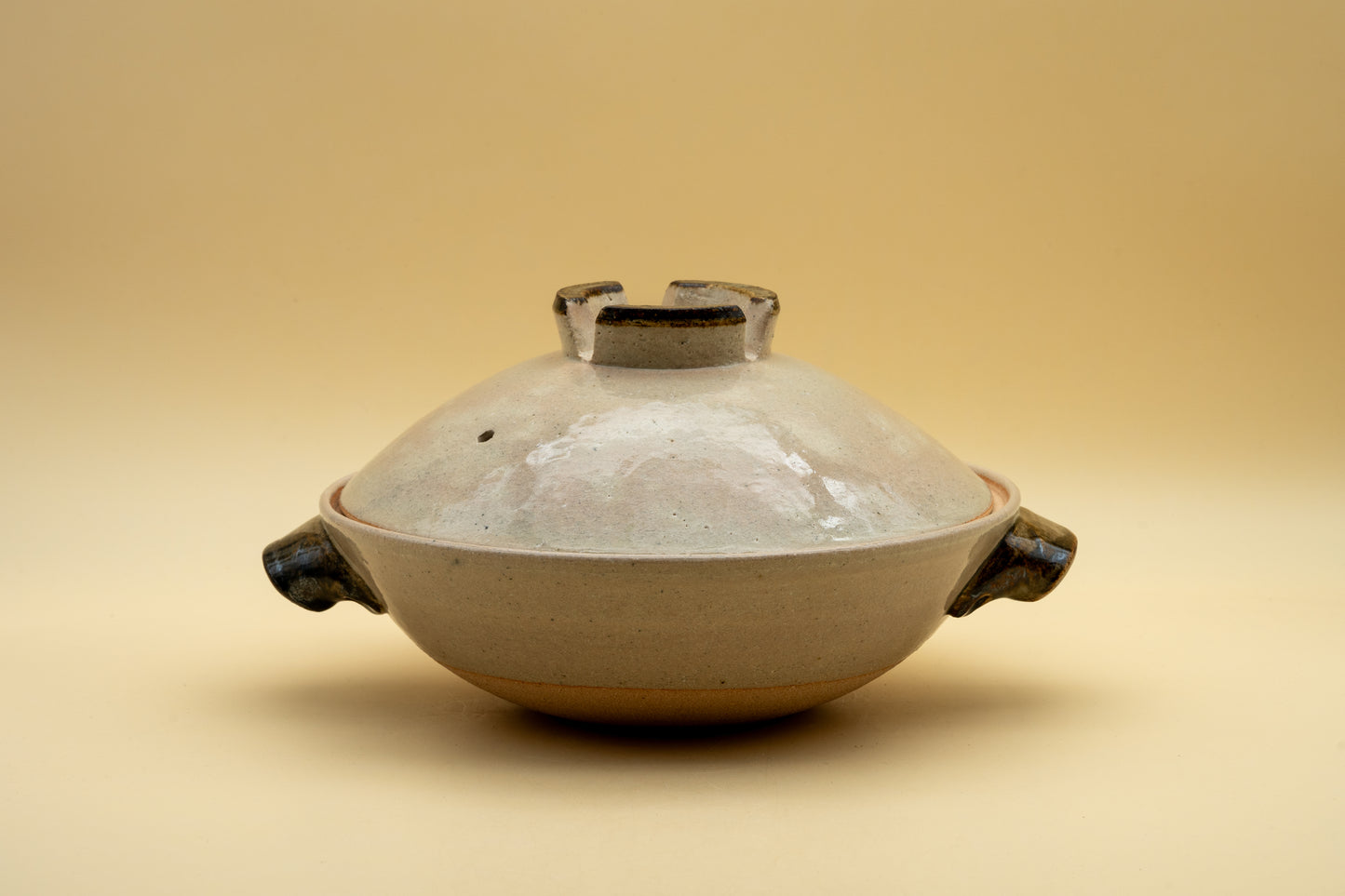 Donabe Clay Pot "Negi" | DOR-D001